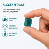 Gummies de créatine monohydrate OEM 5g, véganes, sans sucre, électrolytes, favorisent la croissance musculaire, nutrition sportive, 120 gummies