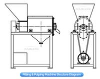 Industriële grote fruitpulperapparatuur abrikoos perzik tomaat mango ananas pulpmachine
