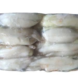 Mejor Servicio, Calamar Illex Argentino Congelado, Huevas de Calamar Illex, Bloque de Materia Prima Entera en Stock - Product Image 3