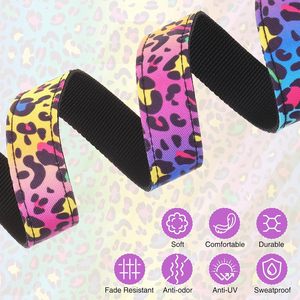 DILLYBUD-Collar suave ajustable para cachorro con hebilla de liberación rápida, correa de nailon resistente de 5 pies para perros pequeños - Product Image 5