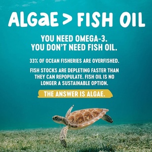 Cápsulas Blandas de Omega 3, EPA y DHA de Alta Calidad, Marca Privada, Refuerzo del Sistema Inmunitario, Apoyo a la Función Cognitiva, Apoyo para Huesos y Articulaciones - Product Image 3