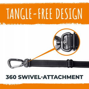 Cinturón de seguridad ajustable para perros, correa de seguridad para vehículos - Product Image 6