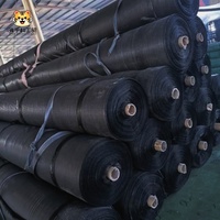 Toile de paillage noire tissée en PP/PE, tapis de couverture de sol industriel, membrane anti-mauvaises herbes en rouleau pour aménagement paysager et allées