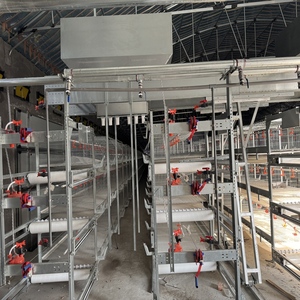 Tự động lớp gà lồng thiết bị cần thiết cho sản xuất trứng cao trên các trang trại gia cầm - Product Image 3