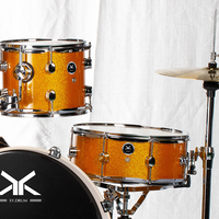 Ensemble de batterie Junior Jazz professionnel 5 pièces Kits de batterie acoustique portables avec échantillon gratuit de musique pour la pratique