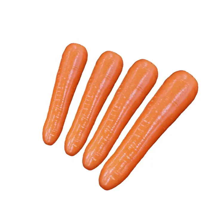 Carota fresco organico carote più nuovo crop prezzo a buon mercato in bulk S M L di esportazione professionale fresco carota