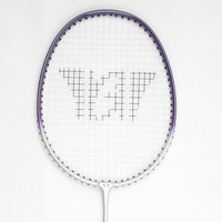 Vente en gros personnalisé Aluminium + Acier trempé avec T Joint Badminton Rocket Raquette d'entraînement durable de haute qualité pour l'entraînement