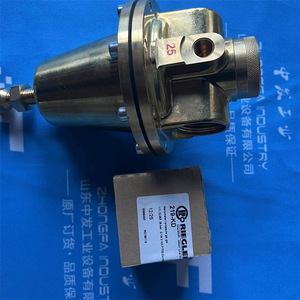 Clapet anti-retour Riegl 103950 226.01-1,8 en acier moulé, structure à une seule palette, pour usage sous vide - Product Image 2