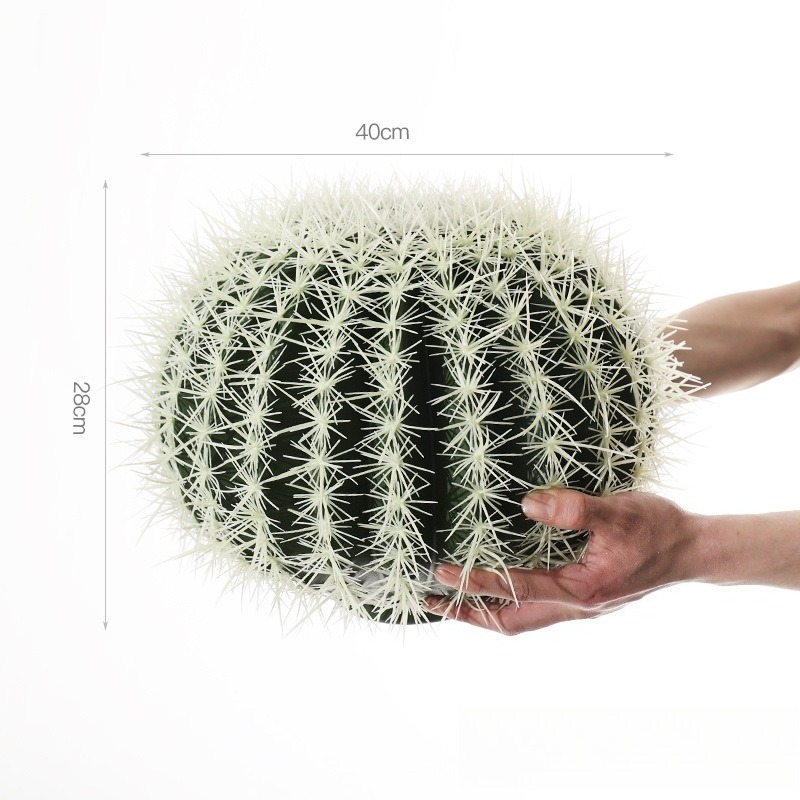 white thorn cactus 40cm