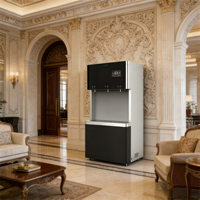 Distributeur d'eau chaude/froide électrique commercial haute capacité en acier inoxydable avec filtration 3 étapes pour hôtels, foyers et usage extérieur