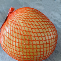 Op maat gemaakte kleur en maat aardappelgroenten fruit citroenen uien aardappel voedselveilige verpakking HDPE buisvormig gebreid netrol Aining merk