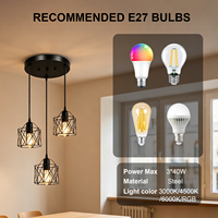 Lampe de plafond moderne en métal noir, luminaire suspendu industriel à tête unique, luminaire géométrique en fil métallique pour salle à manger, salon, chambre à coucher, cuisine
