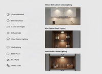 Lumière LED pour armoire, spot rond à montage en surface, petit projecteur pour vitrine et étagère 5017-23-1
