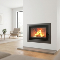 Insert de cheminée à bois multifonctionnel en acier pour chauffage domestique intérieur