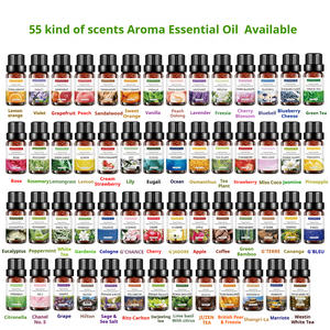 55 saveurs différentes <span class=keywords><strong>d</strong></span>'huiles parfumées hydrosolubles, arômes naturels, huiles essentielles <span class=keywords><strong>pour</strong></span> humidificateur et diffuseur, <span class=keywords><strong>pour</strong></span> soulager le stress, 10 ml - Product Image 1