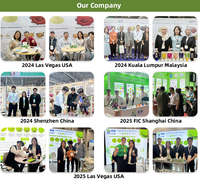SAIYANG OEM Poudre de Collagène et de Peptides de Matcha, Complément Alimentaire, Poudre de Thé Vert Matcha Cérémonial avec Poudre de Collagène et de Peptides