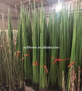 E-3120 Fabbrica di <span class=keywords><strong>grandi</strong></span> vasi di piante per la Vendita di piante all'aperto artificiale serpente erba <span class=keywords><strong>bonsai</strong></span> per la casa - Product Image 3
