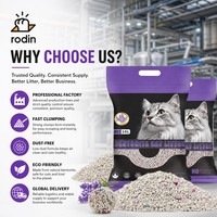 Litière pour chat en bentonite de haute qualité à agglomération rapide, absorption rapide, anti-odeur, en forme de boule, sable d'argile naturel pour les foyers multi-chats