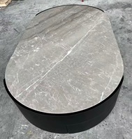 Table basse ovale en marbre gris avec armoire de rangement en bois, base noire, mobilier moderne pour salon, pierre durable, respectueux de l'environnement