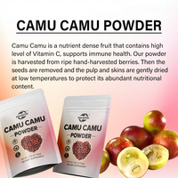Compléments alimentaires OEM ODM très demandés : Poudre de Camu Camu avec Vitamine C pour le soutien antioxydant et immunitaire