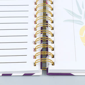 Lanner-luces ustomizadas, accesorio electrónico - Product Image 5