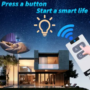 High Quality Factory Wireless Remote Control Learning Code Duplicate Code RF Remote Control For Automatic Door Window Control