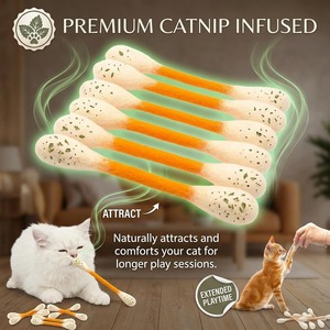 Durable <b>Interactive</b> Catnip Chew Stick, Cotton Swab Shaped – OEM/ODM Bulk Teeth Cleaning <b>Toy</b> for <b>Cat</b> Pet Supplies - Product Image 4