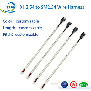 SM2.54MM - XH2.54 RGB LED Şerit Işık Hızlı Bağlantı Kablosu Konnektörleri 2P Splitter Uzatma Kablo Demeti - Product Image 1