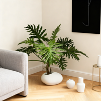 Plantes artificielles en pot Philodendron au design moderne personnalisé, toucher réaliste, très réaliste, décoration d'intérieur