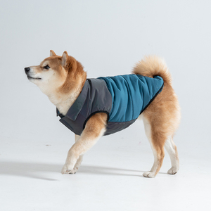 Abbigliamento Personalizzato per Cani Maschi e Femmine, Cappotto Invernale Imbottito Resistente all'Acqua per Cuccioli - Product Image 5