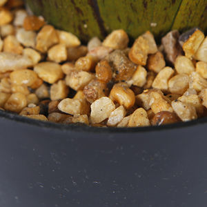 Piante Artificiali 180CM, Albero di Palma Tropicale Finto Uccello del Paradiso, Piante Finte per Casa, Giardino, Ufficio, <span class=keywords><strong>Negozio</strong></span> - Product Image 5