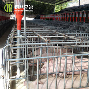 Nuova condizione su misura cassa di gestazione di allevamento di suini gabbia animale di alta qualità allevamento suino garanzia di 1 anno - Product Image 4