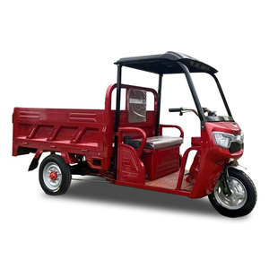 Triciclo de Carga con Cubierta de Fábrica China, Caja de Transporte Reforzada 1000W, Productos Más Vendidos - Product Image 4