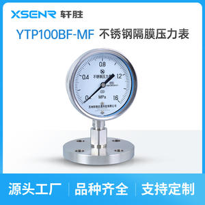 Manómetro de Diafragma de Acero Inoxidable Suzhou XuanSheng 100mm YTP100BF-MF -0.1 a 1.6Mpa - Product Image 3