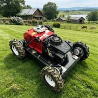 Tondeuse à gazon télécommandée sur chenilles 550 mm pour vergers et pentes, machine tout-terrain de désherbage et de tonte à distance CE EPA