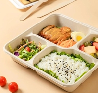 Plateau jetable 100% compostable en fibre végétale, biodégradable, plateau alimentaire en bagasse de canne à sucre