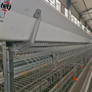 Jaula para Gallinas Ponedoras Tipo H <span class=keywords><strong>de</strong></span> 3-4 Niveles, Galvanizada por Inmersión en Caliente, Jaula <span class=keywords><strong>de</strong></span> Batería para 96-160 Aves, Equipo <span class=keywords><strong>de</strong></span> Avicultura para Producción <span class=keywords><strong>de</strong></span> Huevos - Product Image 6