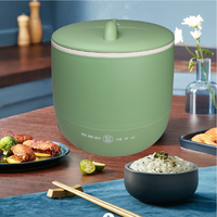 Mini cuiseur à riz 300W, capacité 1,6-1,8L, pour 1-3 personnes, multifonction, commande tactile, solaire, USB, revêtement antiadhésif, tasse doseuse