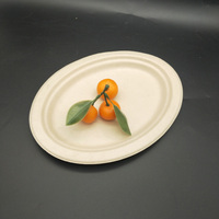 Assiettes jetables biodégradables en bagasse de canne à sucre de 6, 7, 9 et 10 pouces