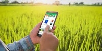 Aplicación Agrícola Agritech 2025 de Calidad Profesional, Versión Stock para Sistemas Operativos Mac, la Mejor Aplicación Personalizable