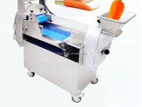 YQC850 Elektrische Hoge Kwaliteit RVS Groente- en Fruit Snijder/Slicer/Shredder/Kubus Snijder 220v Motor Aardappelen Bladgroenten