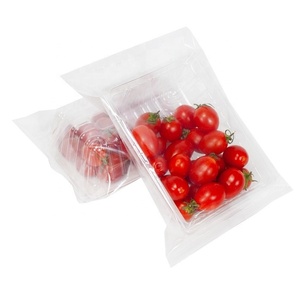 LP-450B Landpack untuk Mesin Pengemas Alpukat Buah dan Sayuran Segar - Product Image 2