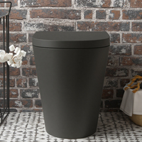 Toilettes Encastre Wc Uk Ensemble de toilette de luxe Wc Placard à eau sans rebord Fabricant commercial d'ensemble de toilette P Piège Vestiaire noir