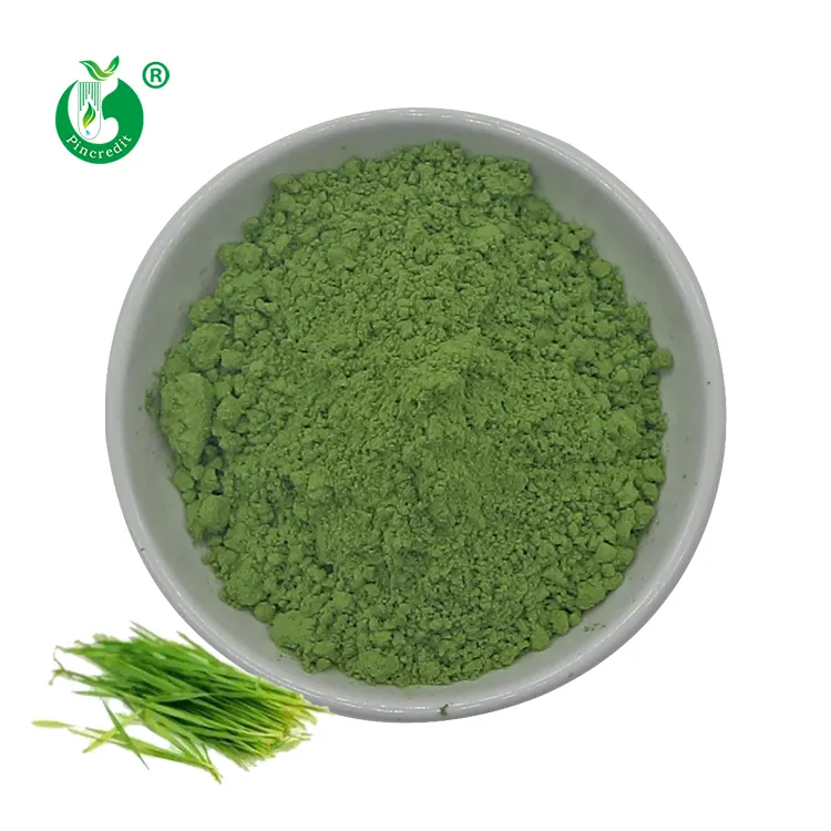 Pincredit 공급 고품질 100% 자연적인 유기 녹색 보리 잔디 분말