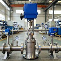 Vanne de régulation linéaire électrique en acier inoxydable 316 DN10 PN100 haute pression pour le traitement de l'eau