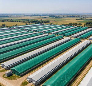 FORTUNE AGRO NET Redes de Plástico Tejidas de Color Verde Hierba Fabricadas en India con Servicio de Corte para Cubrir Plantas - Product Image 1