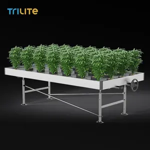 Hydro ponic Growing Rolling Bench Systems für pflanzliche Gemüse blumen