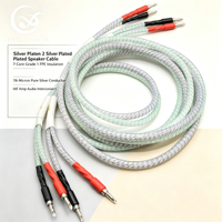 Câble de haut-parleur Hi-Fi plaqué argent YIVO XSSH - Interconnexion audio haute fidélité pour haut-parleur principal et amplificateur