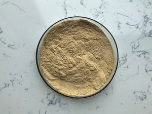 천연 로즈마리 소스 <span class=keywords><strong>Rosmarinic</strong></span> 산 추출물 분말 - Product Image 5