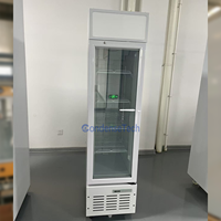 Congélateur vertical commercial à température unique, à dégivrage automatique, pour hôtels et restaurants, avec éclairage LED, refroidissement par air et porte vitrée